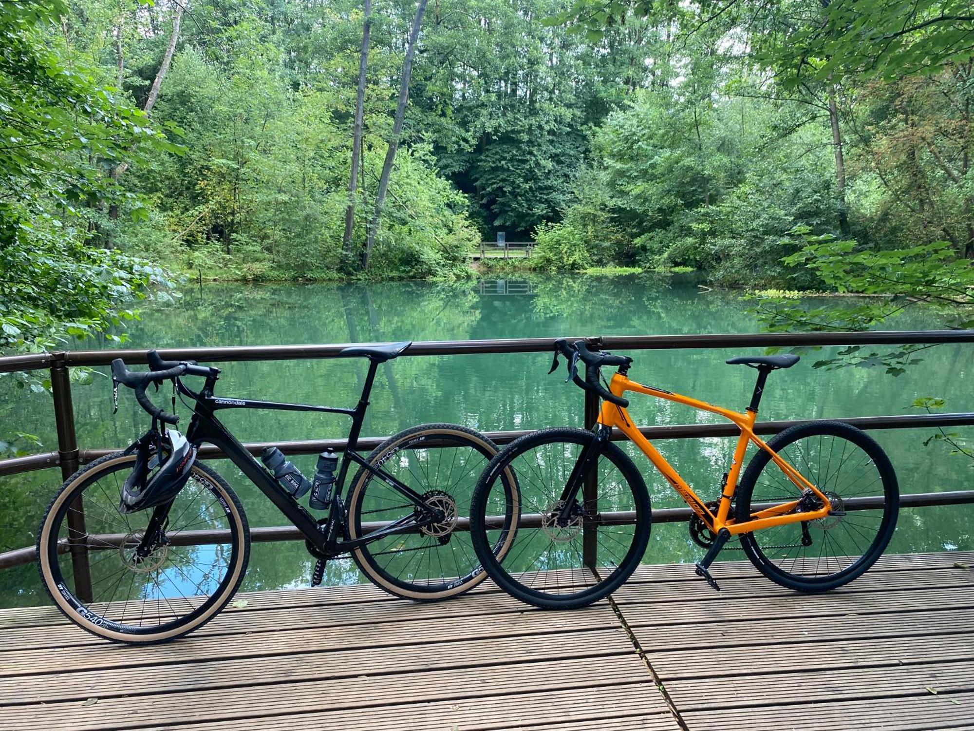 Horden am Harz Ferienwohnung Sued - West Harz Mit Sauna E-Bikes Vorhanden! מראה חיצוני תמונה
